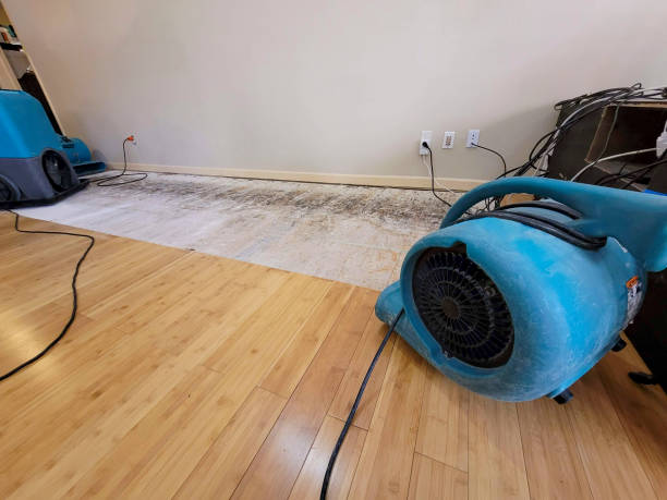 Professional Basement Flood Cleanup technician working in Flatonia, TX